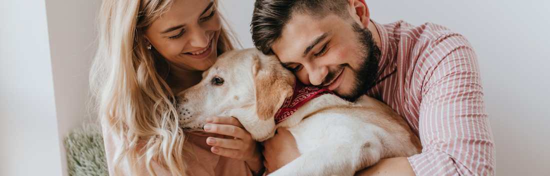 Stangest Cronicare para mascotas: Guía completa