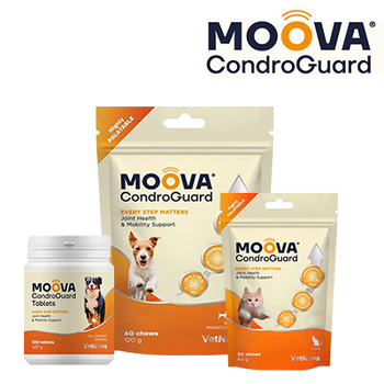 VETNOVA MOOVA CONDROGUARD (28 FEBRERO 2025)