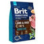 Brit Premium By Nature Dog Sensitive Lamb 3Kg para Perros