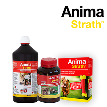 STANGEST ANIMA STRATH 25% DTO. (6 ENERO 2024)