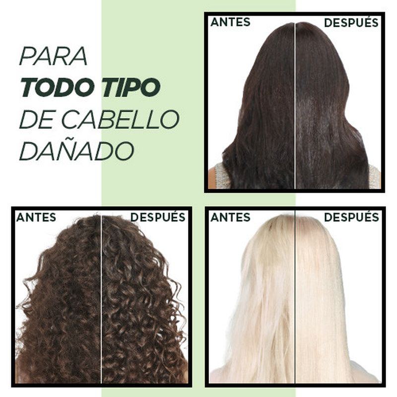 Garnier Fructis Champú Adiós Daños Con Aceite De Marula Para Cabello Dañado 300Ml