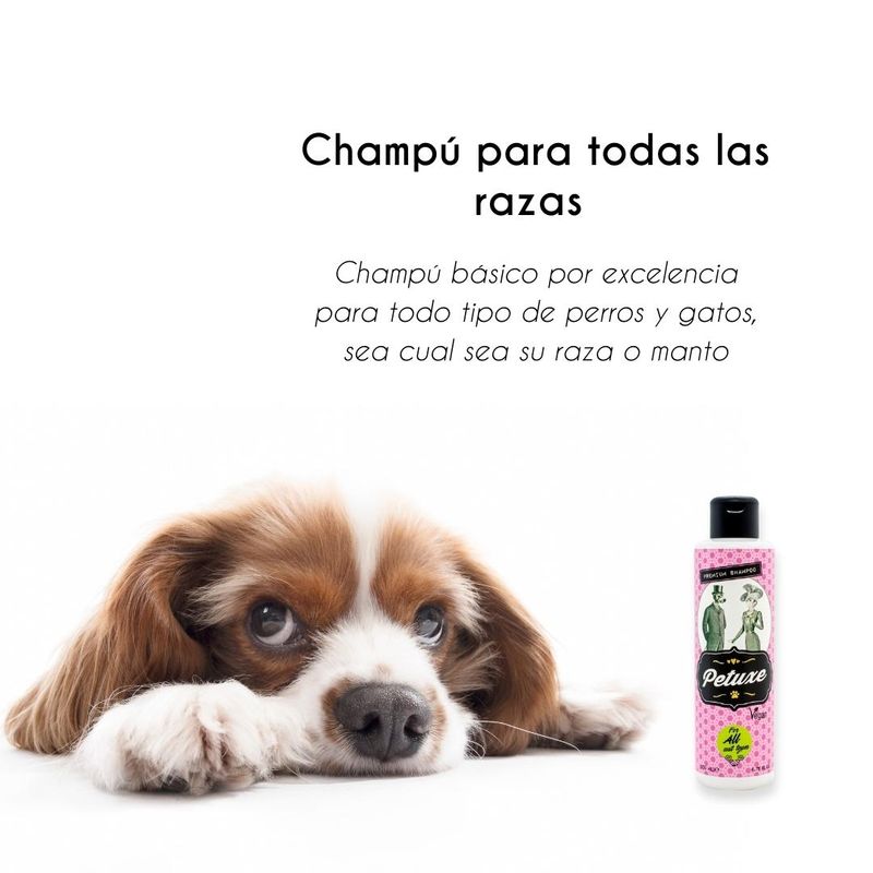 Petuxe Pack Perros De Agua (Champú + Acondicionador)