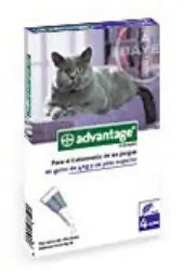 Advantage Gato 80 mg Gato +4Kg 4Pip