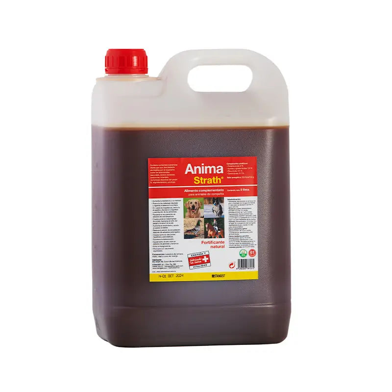 Stangest Anima Strath, 5L