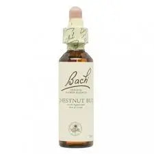 Bach Chestnut Bud 20 ml