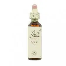 Bach Gorse 20 ml