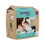 Bambo Nature Pañales Talla1 (2-4G), 22 unidades