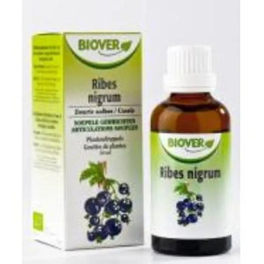 Biover Ext. Ribes Nigrum (Grosellero Negro) 50Ml.