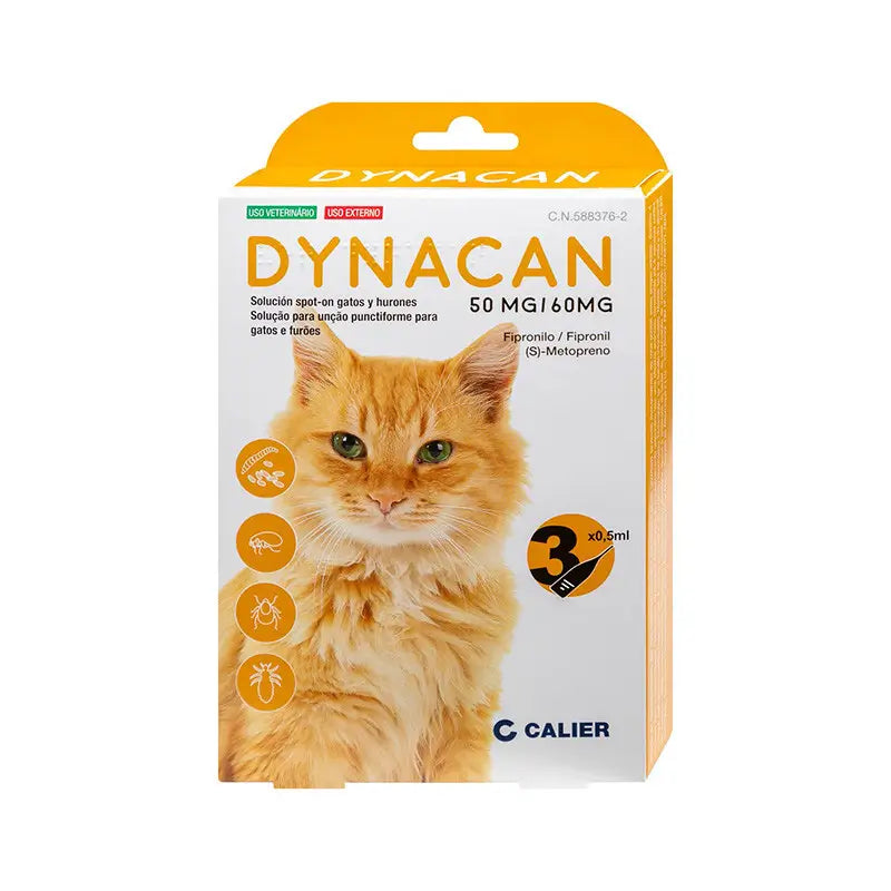 Calier Dynacan Gato 3Pip