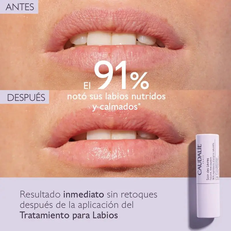 Caudalie Tratamiento Para Labios, 4,5 gr