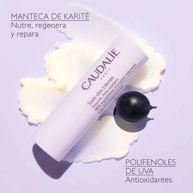 Caudalie Tratamiento Para Labios, 4,5 gr