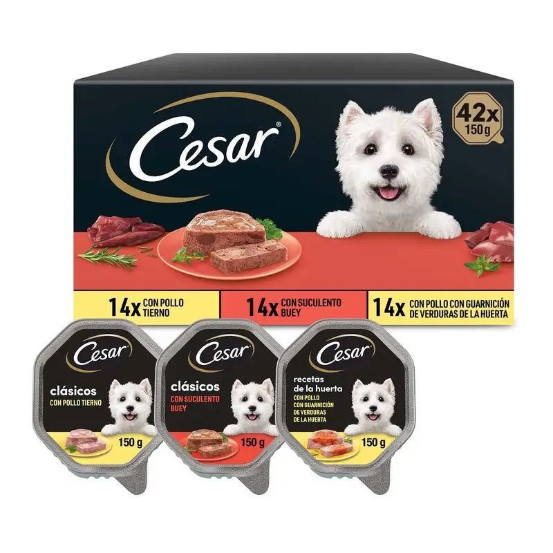 Cesar Big Multipack 42X150Gr