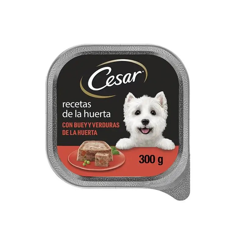 Cesar Buey 20X300G