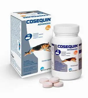 Cosequin Advance Msm Ha 40Cpd Box