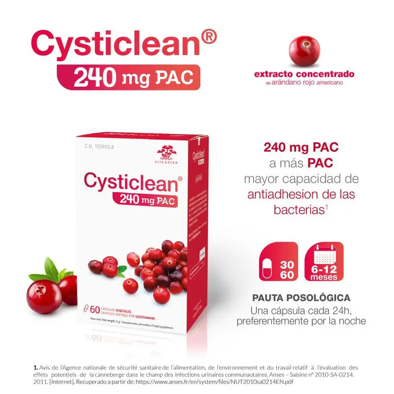 Cysticlean 240 Mg Pac, 30 Capsulas