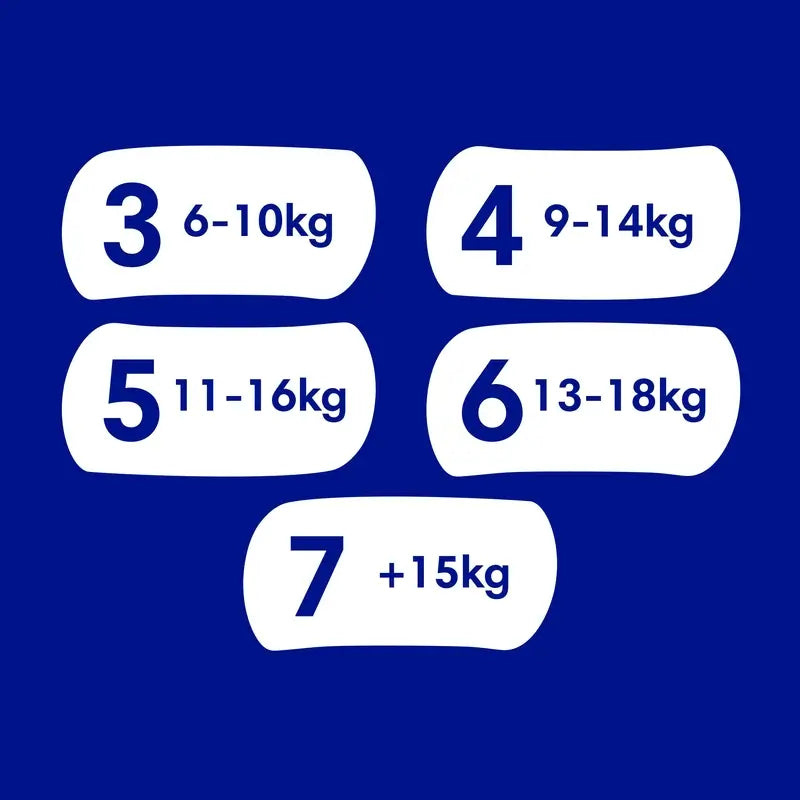 Dodot Mainline Pañal Talla 3+ (7-11 Kg), 66 unidades