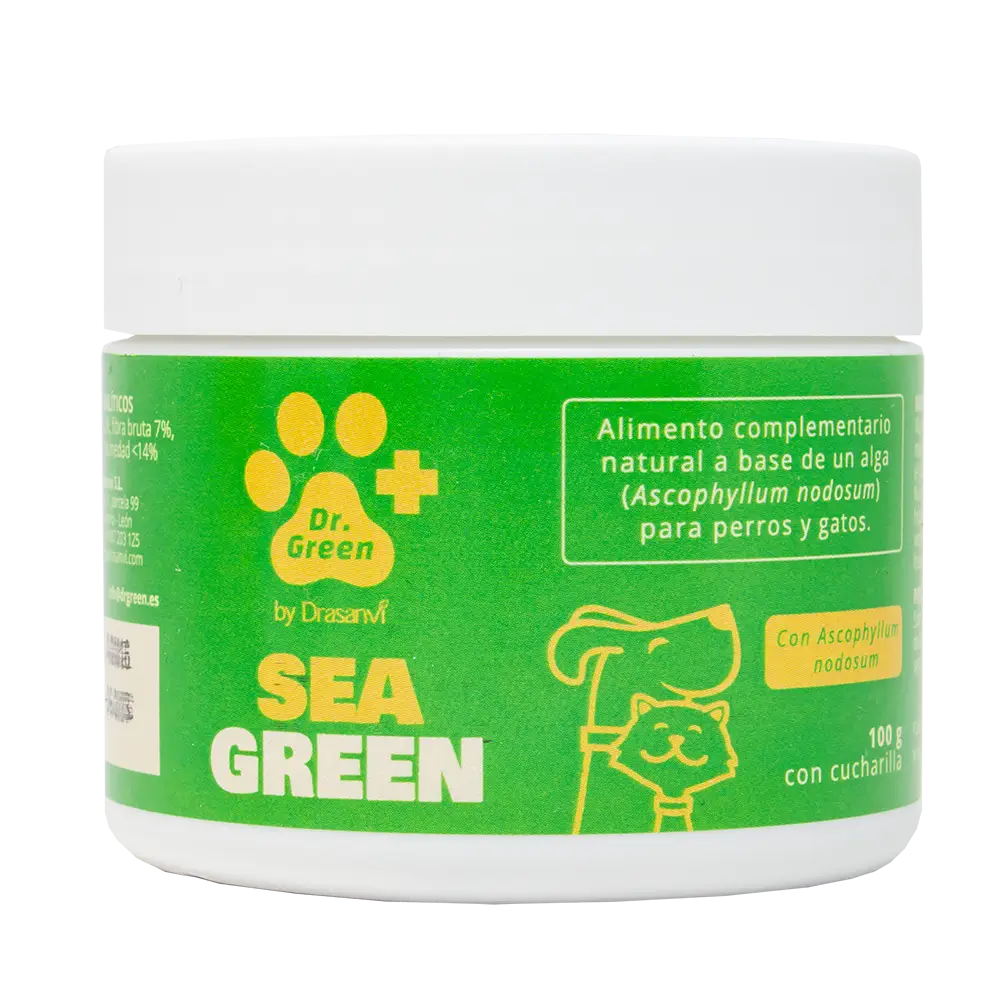 Drasanvi Drgreen Seagreen , 100 gr