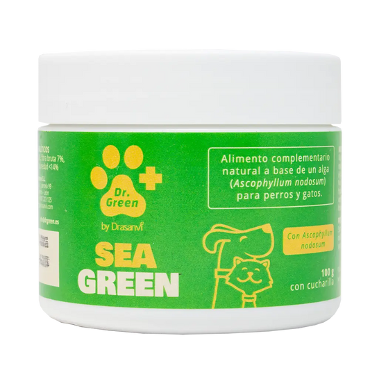 Drasanvi Drgreen Seagreen , 100 gr