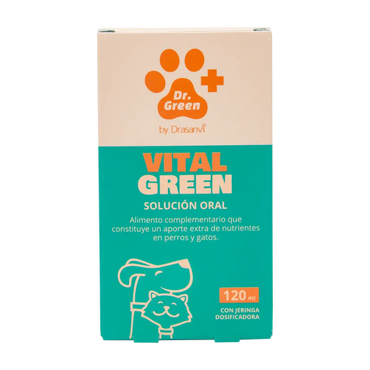 Drasanvi Drgreen Vitalgreen Solucion Oral , 120 ml