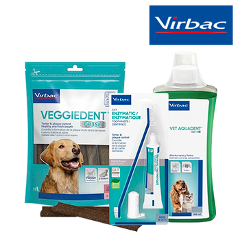 VIRBAC HIGIENE DENTAL (28 FEBRERO 2025)