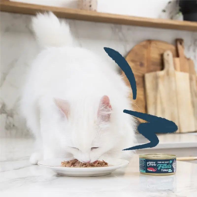 Edgar & Cooper Comida Húmeda Para Gatos 24x70g Filetes De Atún Y Calamares Sin Cereales Para Gatos