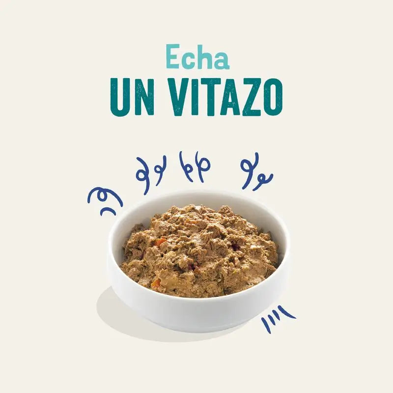 Edgar & Cooper Comida Húmeda Para Perros 11x150g Salmón Y Pavo, Remolacha, Manzana Y Espinacas