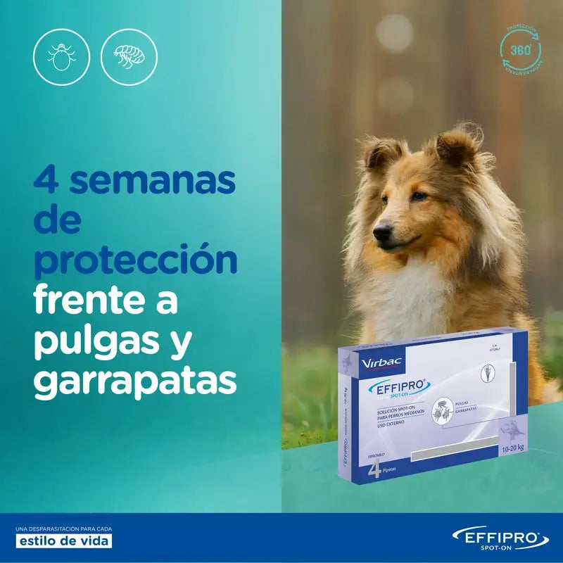 Effipro 134 Mg Spot-On Perros Medianos 10-20 kg, 24 Pipetas