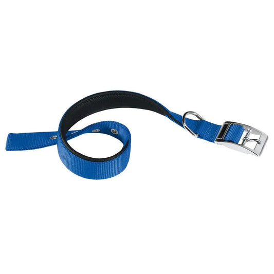 Ferplast Collar Nylon Daytona C 15 35 Azul