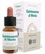 Forza Vita Quintaesencia Menta, 10 Ml      