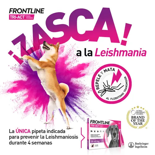 Frontline Tri-Act 10-20Kg, 3 Pipetas