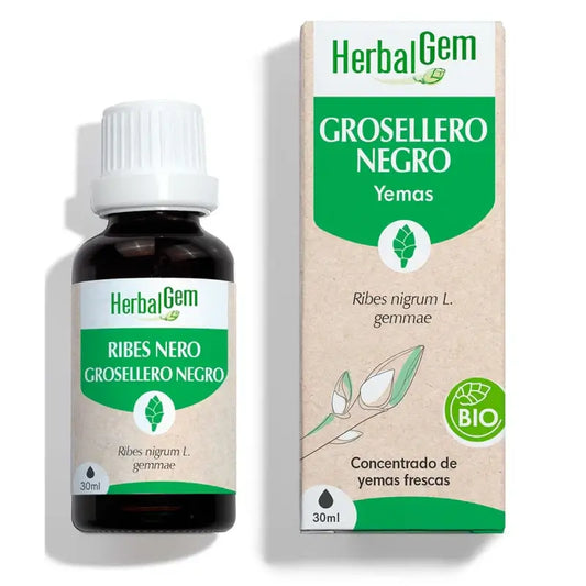 Herbalgem Grosellero Negro Bio , 30 ml