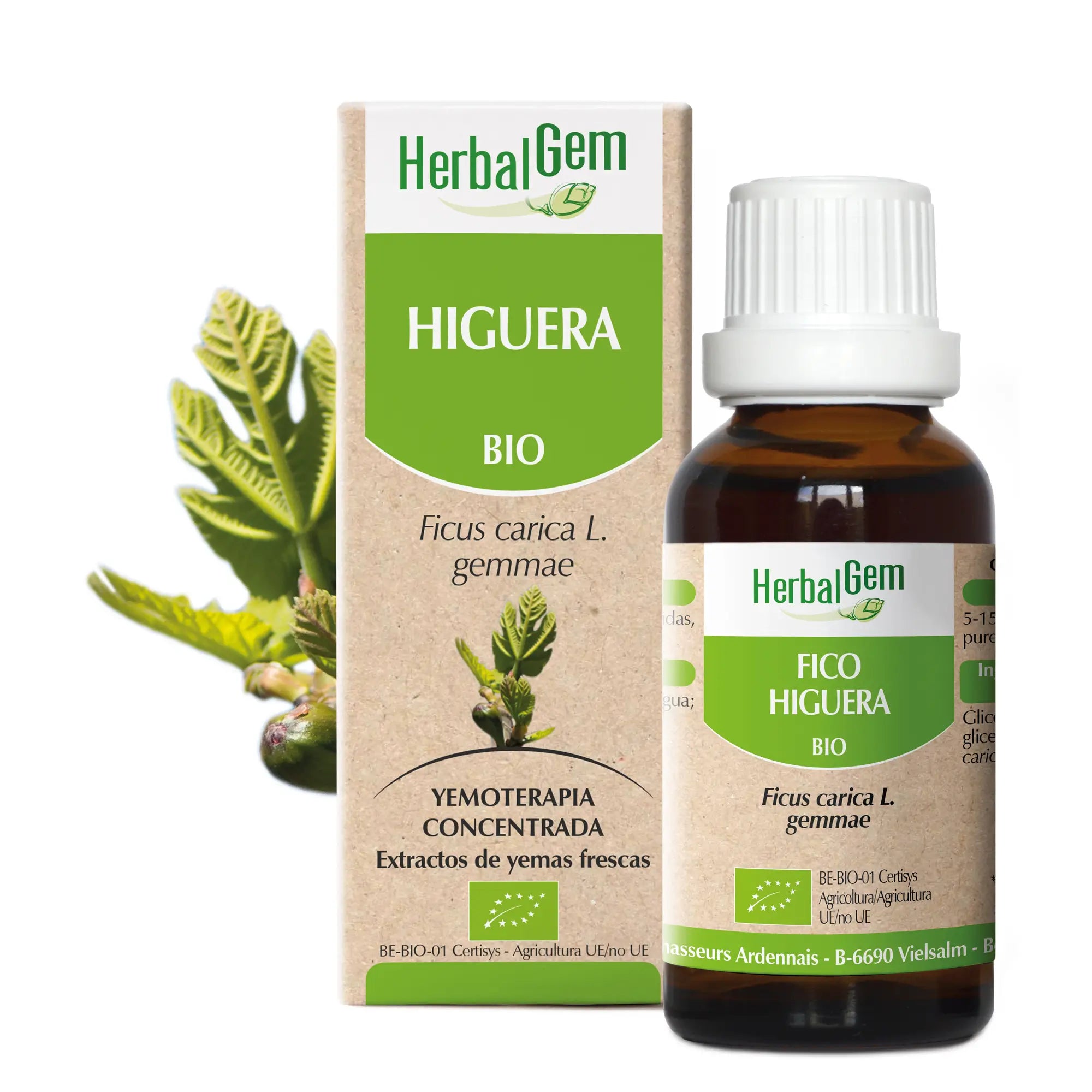 Herbalgem Higuera 15 ml