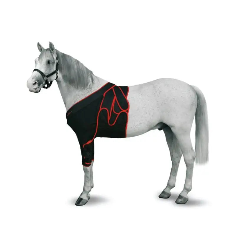 Kruuse Equine Venda Frontal  M 12Uds