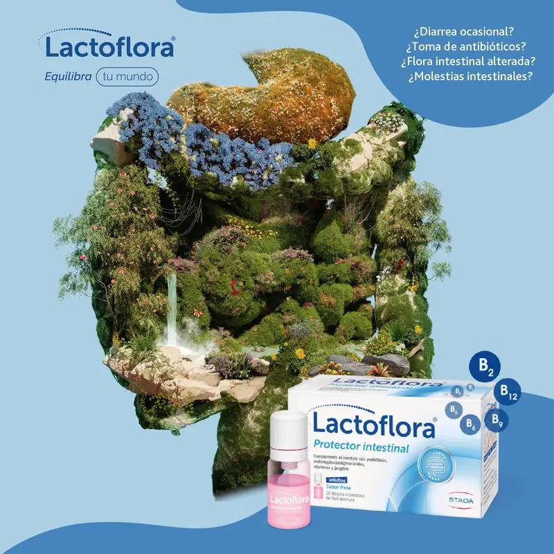 Lactoflora Adultos, 10 Frascos