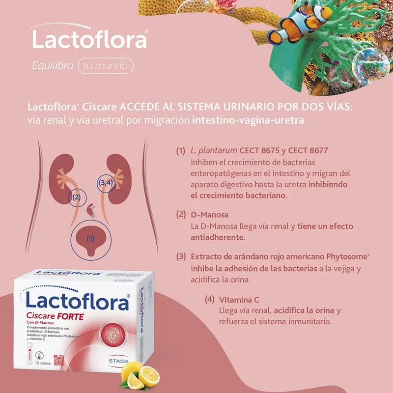 Lactoflora Ciscare Forte , 10 sticks