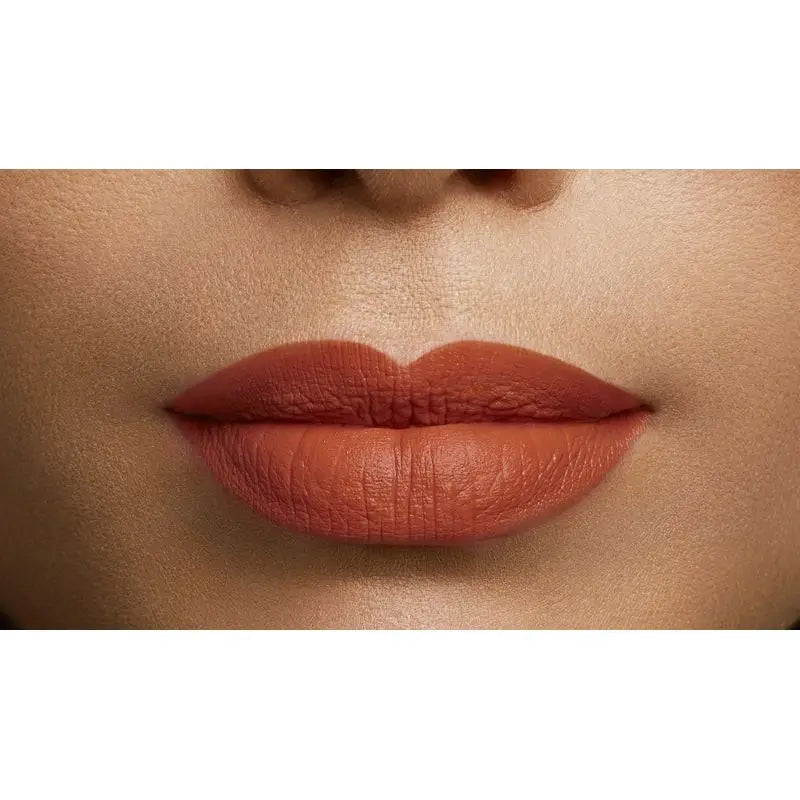 L'Oréal Paris Color Riche 108 Brun Cuivre Barra De Labios Marrón Rosado