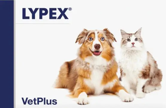 Lypex Perros y Gatos, 60 Cápsulas