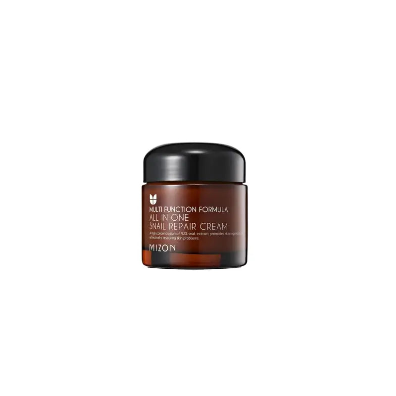 Mizon All In One Snail Repair Crema 75G