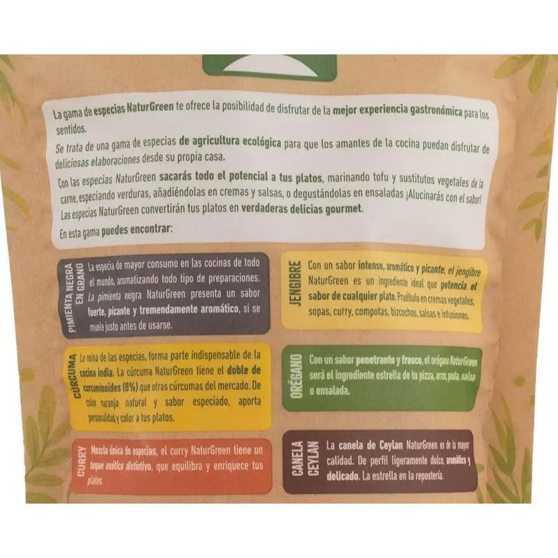 Naturgreen Jengibre Molido 100Gr. Bio Sg