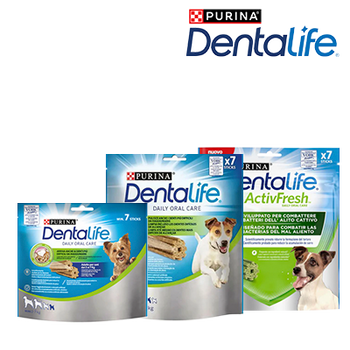 DENTALIFE 25% DTO. (31 DICIEMBRE 2024)