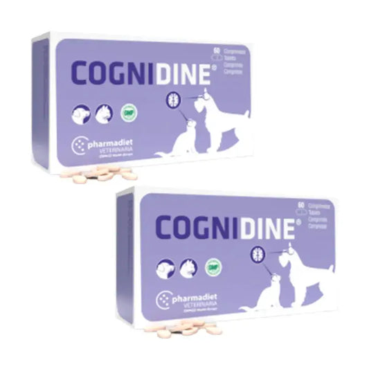 Pack Cognidine, Pack 2 x 60 Comprimidos