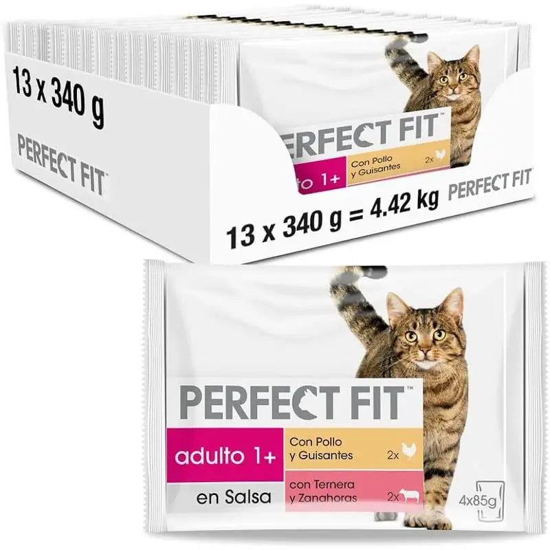 Perfect Fit Carne 13x4x85Gr