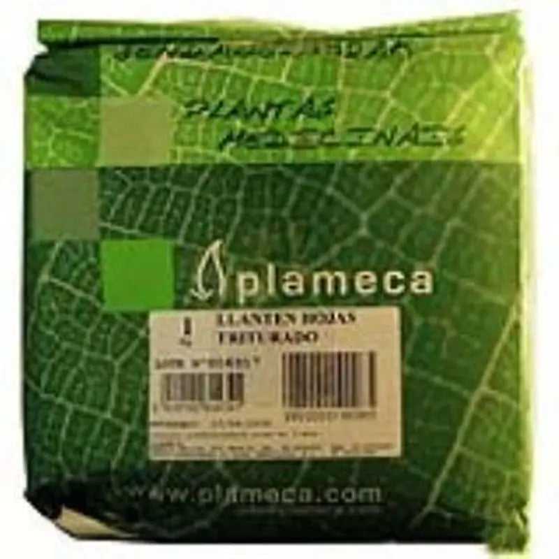 Plameca  Hierba Llanten Hoja Triturada 1Kg 