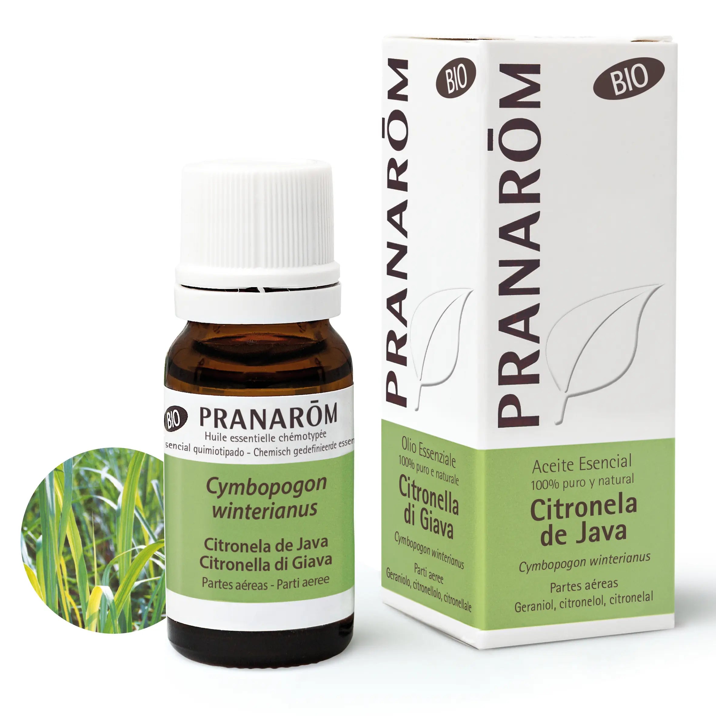 Pranarôm Citronela De Java BIO, 10 ml