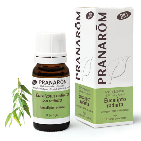 Pranarôm Eucalipto Radiata BIO, 10 ml