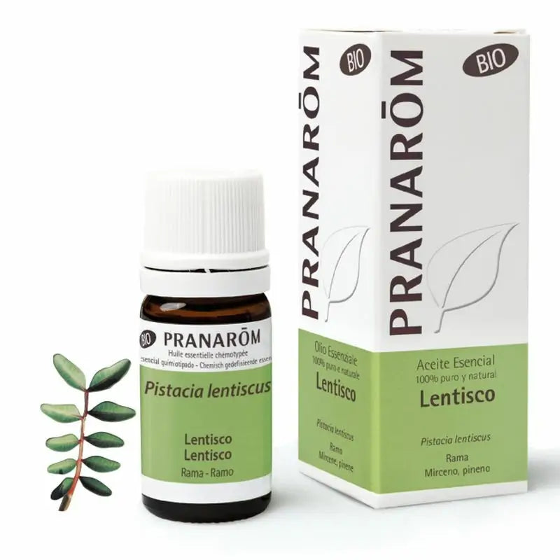 Pranarôm Lentisco Rama BIO, 5 ml