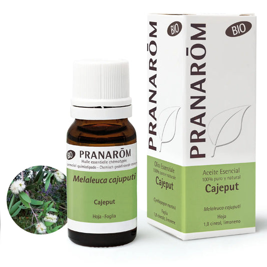 Pranarôm Melaleuca Cajuputii BIO