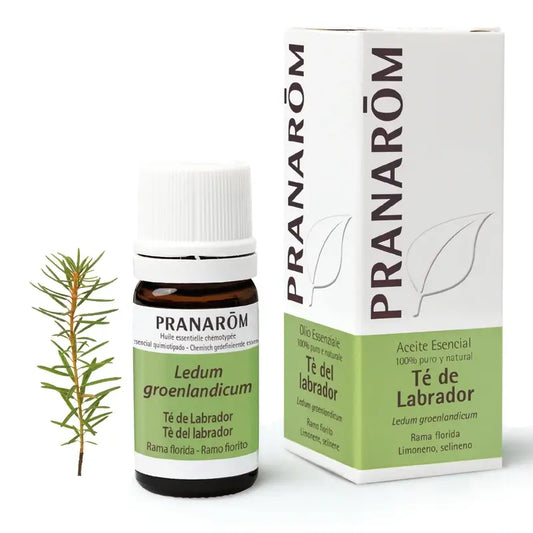 Pranarôm Té De Labrador 5 ml