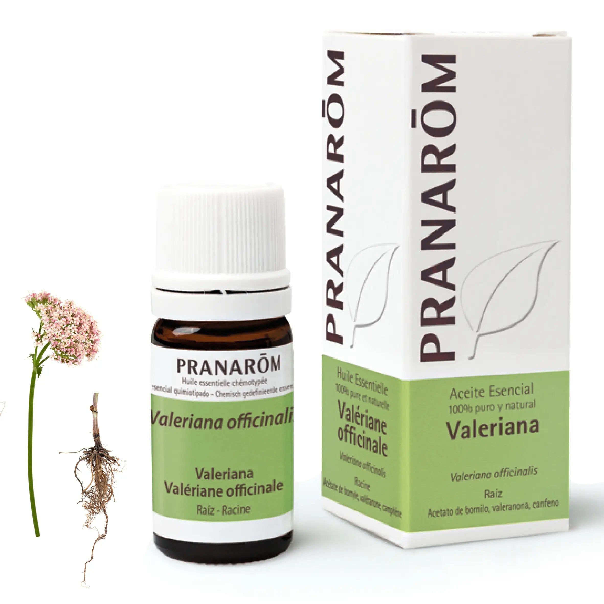 Pranarôm Valeriana 5 ml