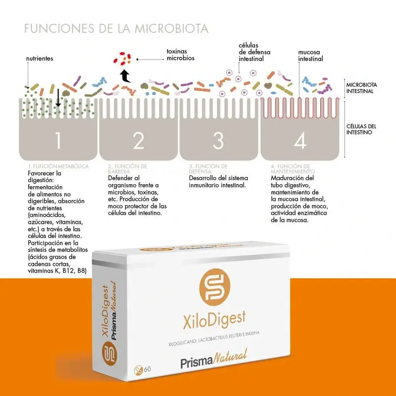 Prisma Natural Xilodigest, 60 Cápsulas